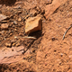 Illustration for article titled AWOL Around Australia... Part 34. The Pilbara. Part 1